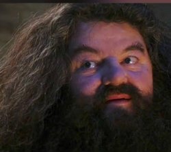 Hagrid Meme Template
