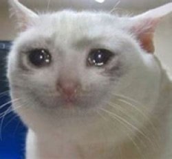 Crying Cat Meme Template