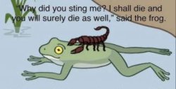 frog and scorpion Meme Template
