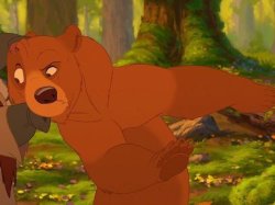 Heyyy Bear Meme Template