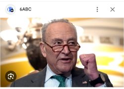 Senator Chuck Schumer Meme Template