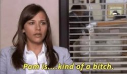 Pam is...kind of a Meme Template