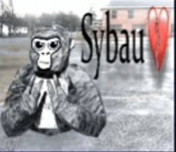 Gtag sybau 2 Meme Template