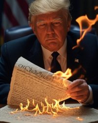 Trump burning the Constitution Dictator Autocracy Meme Template