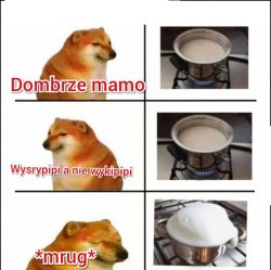 Wysrypipi a nie wykipipi Meme Template