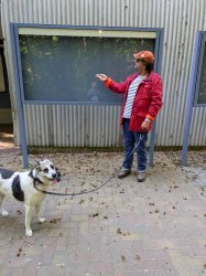 Hund und Mann in roter Jacke Meme Template