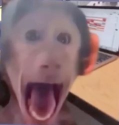 Monkey scream Meme Template