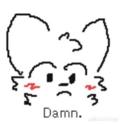 Damn Meme Template