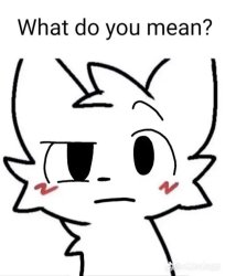 What do you mean? Meme Template
