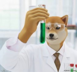 AI meme KIBSHI lab chemist dog Meme Template