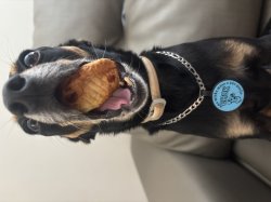 Chok and his pão de queijo Meme Template