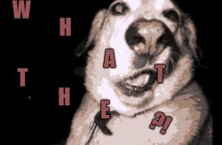 WT? Meme Template
