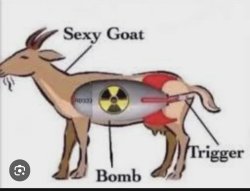 Sexy Goat Meme Template