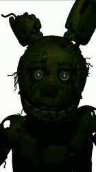 springtrap left Meme Template