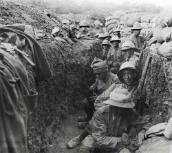 Trench Meme Template