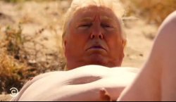 Weak Donald Trump Meme Template