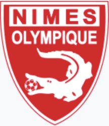 Nimes logo Meme Template