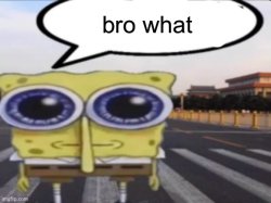 bro what Meme Template
