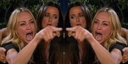Woman yelling at cat but it's woman yelling at woman Meme Template
