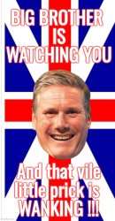 Big Brother is Wanking Meme Template