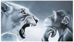 Thinking Monkey and Rage Baited Lion Meme Template
