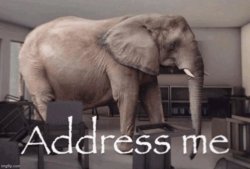 Address me Meme Template