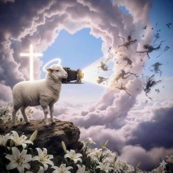 lamb of god Meme Template