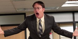 Dwight Shrute is manager Meme Template