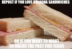 repost if you love bologna sandwiches Meme Template