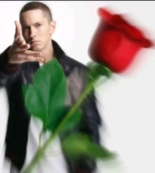 eminem throwing rose Meme Template