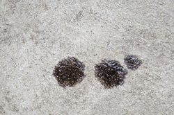 Driveway Stains Meme Template