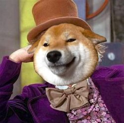 Willy wonka dog Meme Template