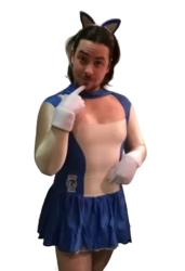Arin Sonic Meme Template