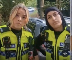 British Police Meme Template