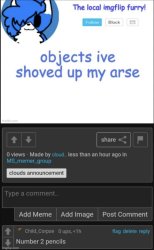 objects ive shoved up my arse Meme Template