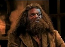 wizard mf Meme Template