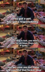 Billy Madison Find That Dog Meme Template