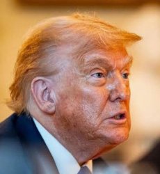 Trump tan Meme Template