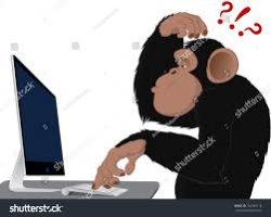 Monkey on Computer Meme Template