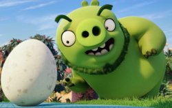 King Pig / Egg / Angry Birds Meme Template