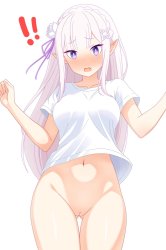 anime pussy Meme Template