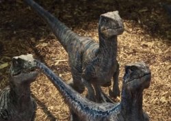 Raptor Meme Template