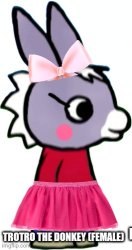 Female trotro (trotro's sister) Meme Template