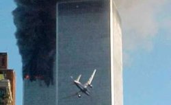 PIM PAM PET Meme Template