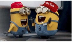 MAGA Failure Meme Template