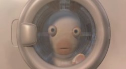 Staring Rabbid Meme Template