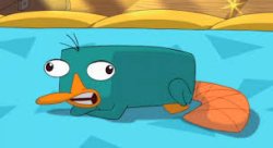 Perry sound Meme Template