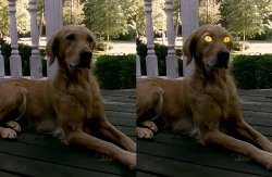 Once Spooky Season Starts Meme Template