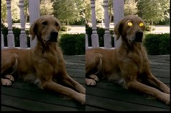When Spooky Season Hits Meme Template