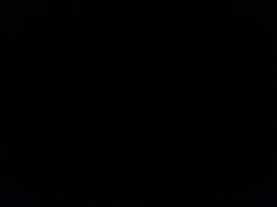 All black all the time Meme Template